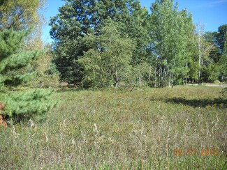 0 Sheridan Rd Unit 302508, Lewiston, MI 49756