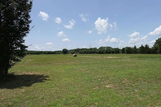 00 Dave Ward Dr, Conway, AR 72034