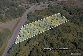 0 Lot 2 Spirit Lake Parcel Wk3516012 Hwy, Castle Rock, WA 98611