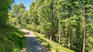 Lot 10 Trailwood Cir, Bruceton Mills, WV 26525