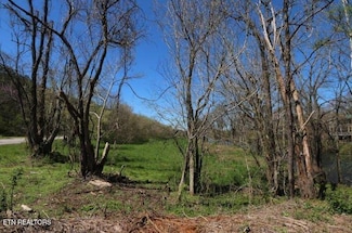 2 Cherohala Skyway, Tellico Plains, TN 37385