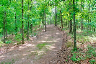 11025 Ford View, Rogers, AR 72756