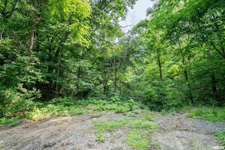 #8 W Harp Hollow Rd, Peoria, IL 61607