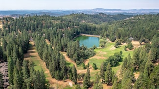633 Forest Meadows Dr, Murphys, CA 95247