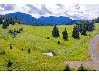 0 Bugle Loop Unit 22227729, Oakridge, OR 97463