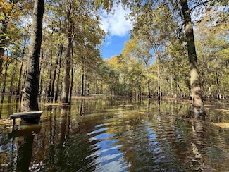 01 70 Hwy, Biscoe, AR 72017