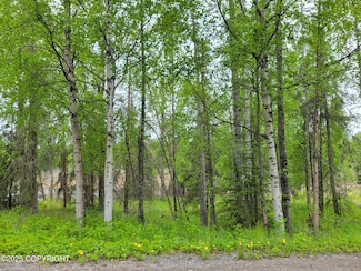 47847 Baranoff Dr, Nikiski, AK 99611