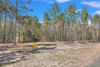 492 Piney Creek Estates Rd, Timpson, TX 75975