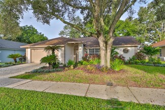 28211 Tanglewood Dr, Wesley Chapel, FL 33543