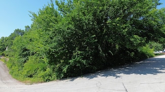 Lot 1 N Willow Rd, Joplin, MO 64801