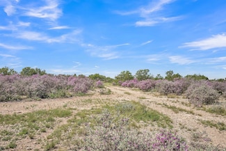 16 Ginger Lee Loop, Del Rio, TX 78840