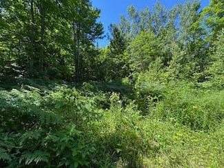 00 Co Rd 466 & Near Cr 428, Newberry, MI 49868