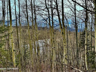 NHN Fish Lake Rd, Chickaloon, AK 99674