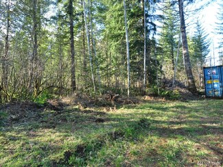 0 NE Dole Valley Rd Unit 1332750, Yacolt, WA 98675