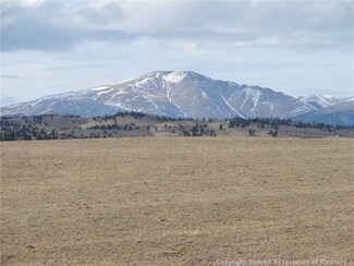 177 Andesite Way, Hartsel, CO 80449