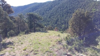 0 Laughing Valley Ranch Rd Unit REC4078582, Idaho Springs, CO 80452