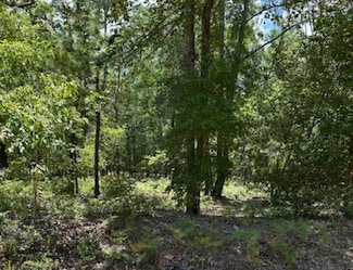 Tbd Watermelon Ln, Barnwell, SC 29812