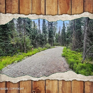 39795 W Parks Hwy, Willow, AK 99688