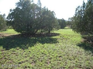 1094 E Bluebell St Unit 247, Williams, AZ 86046