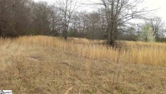 0 Georgia Rd, Gray Court, SC 29645