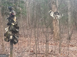 38 &51 Mountain Crest Rd, Dawsonville, GA 30534