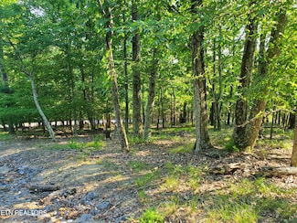 1324 Muskogee Dr, Mooresburg, TN 37811
