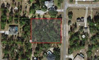 4336 N Butternut Ave, Pine Ridge, FL 34465