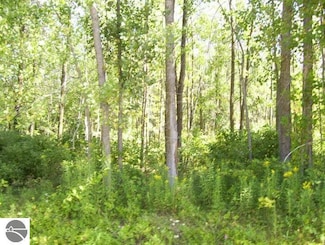 N/A Ponderosa Ln, Au Gres, MI 48703