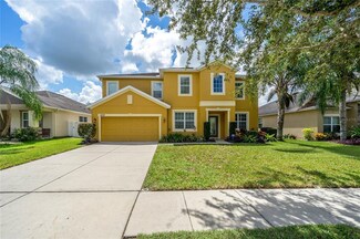 1509 Ringmore Ct, Dover, FL 33527