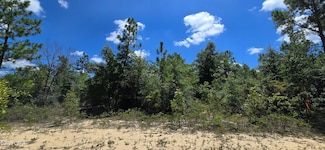 Lot 2 Converse Ave, Chipley, FL 32428