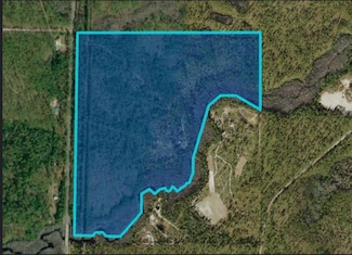 151 Al's Landing Rd, Saint George Island, FL 32328
