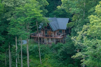 473 Lower Cherry Grove Rd, Slatyfork, WV 26291