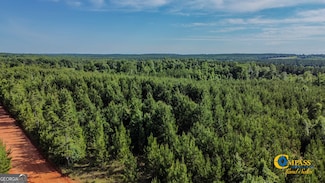 0 Welch Rd Unit 10592152, Buena Vista, GA 31803