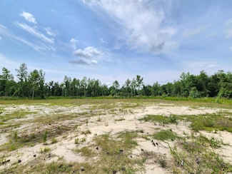 5375 Long Branch Swamp Rd, Nichols, SC 29581