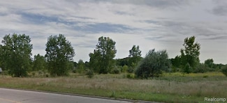10 Acres T A Mansour Blvd, Flint Township, MI 48532