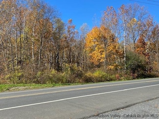 TBD Rt 9w, Highland, NY 12528