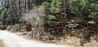 0 Community Dr Unit SW25182266, Lake Arrowhead, CA 92352