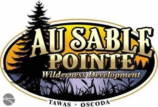 00 N Ausable Point Road Parcel #10 Apw, Oscoda, MI 48750
