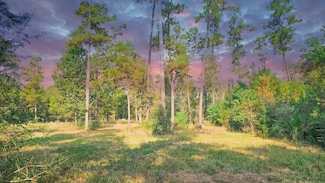 TBD Gregory Ln, New Waverly, TX 77358