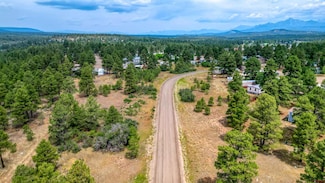 478 & 445 Bonanza Ave, Pagosa Springs, CO 81147