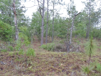 tbd Pony Ridge, Dunnellon, FL 34431