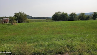 235 Hahn St Lot 21 St, Beavertown, PA 17813