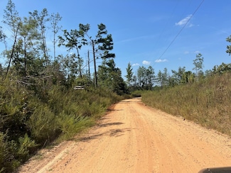 0 Nebo Rd, Coila, MS 38923