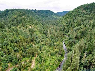 0 Silver Creek Canyon (R38780) Unit 779326, Silverton, OR 97381