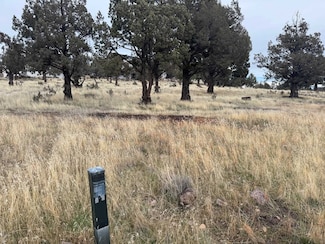 Unit 1 Lot 192 Lake Shastina Dr Unit 1, Weed, CA 96094
