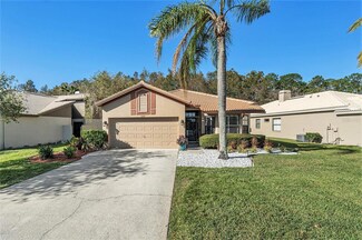 3698 Darston St, Palm Harbor, FL 34685
