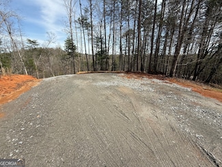 0 Limber Lost Trail Unit 10493698, Cleveland, GA 30528