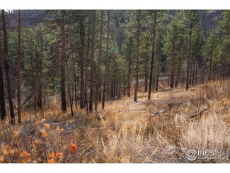 0 Cougar Dr Unit 1048067, Bellvue, CO 80512