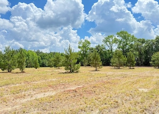 Tbd Gwen Dr Unit LotWP002, Hamer, SC 29547