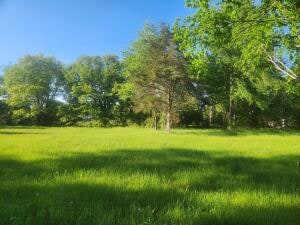 Tract 4 Castleberry, Lamar, AR 72846